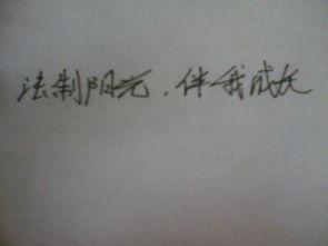 我陽(yáng)光作文開(kāi)頭結尾