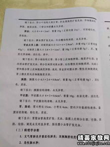實(shí)踐檢驗報告(如何看檢驗報告單)