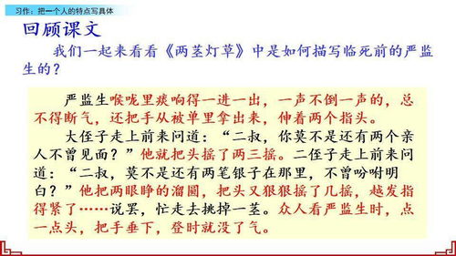 的人,作文,五級,開(kāi)頭