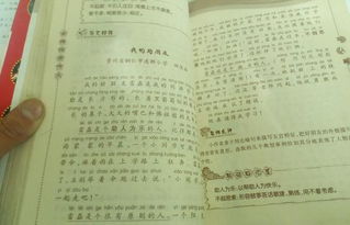 好的開(kāi)頭作文100字左右