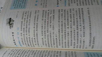 寫(xiě)我們生活中發(fā)現的作文開(kāi)頭結尾
