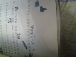 你家鄉的美作文600字作文開(kāi)頭和結尾