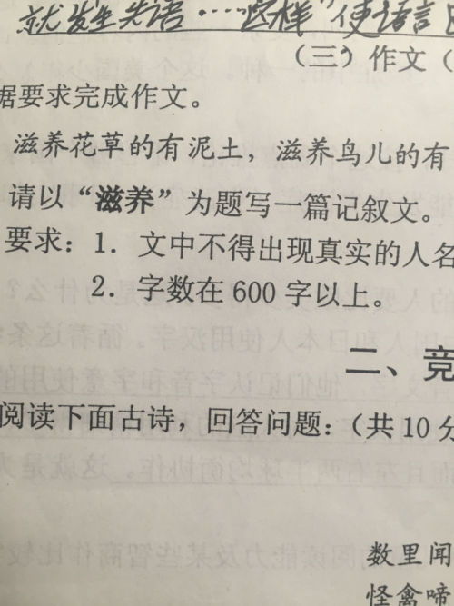 中學(xué)作文排比句開(kāi)頭600字