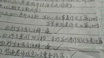 作文,為主題,開(kāi)頭,憤怒