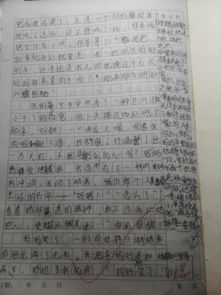 寫(xiě)爺爺的愛(ài)的作文開(kāi)頭