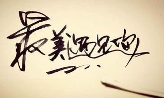 最美麗的相遇記敘作文600字作文開(kāi)頭