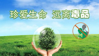 珍愛(ài)生命(珍愛(ài)生命)