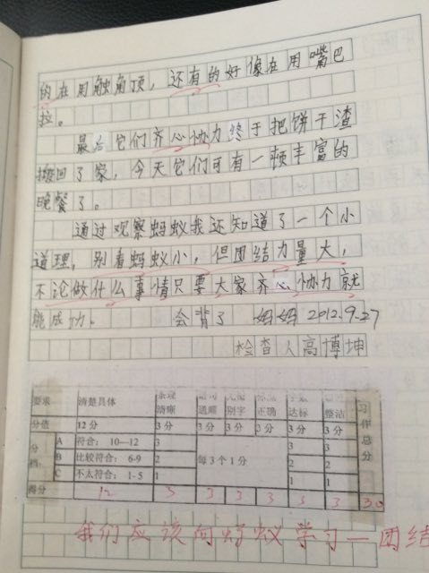 三級母愛(ài)作文開(kāi)頭