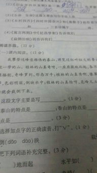 生活需要堅持作文開(kāi)頭排比句