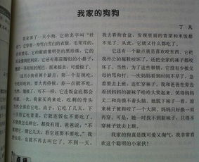 我和狗的作文開(kāi)頭