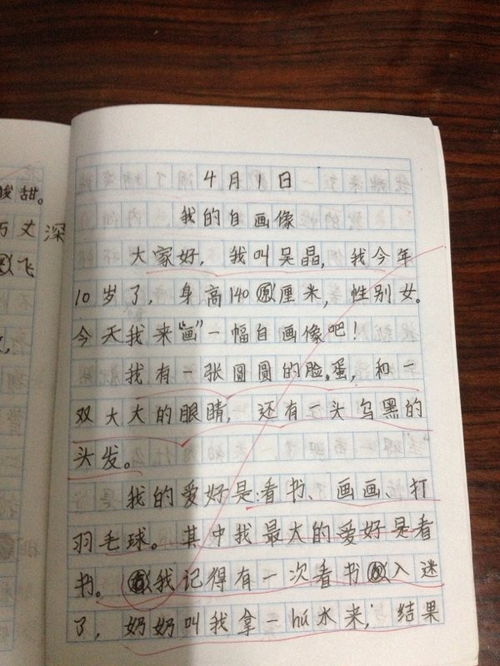 描寫(xiě)景物的特點(diǎn)加自我感受作文開(kāi)頭