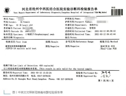 核酸檢測報告英文 (進(jìn)行核酸檢測英文 )
