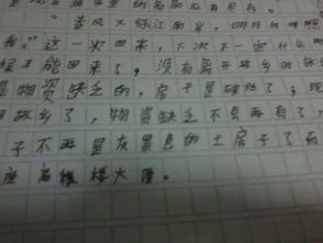 作文,開(kāi)頭,家鄉