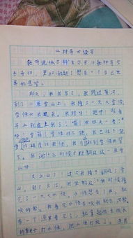 神鳥作文開頭