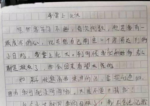 北京游記小學(xué)生作文開(kāi)頭