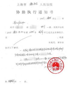 關(guān)于執行的通知書(shū)(關(guān)于測試執行的個(gè)人總結)