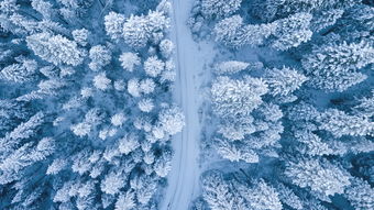 晚來(lái)的雪(晚雪)