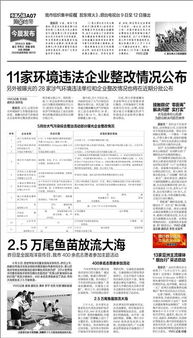 環(huán)境違法整改報告(工程違法轉包整改報告)