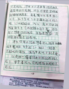 報答母親作文開(kāi)頭
