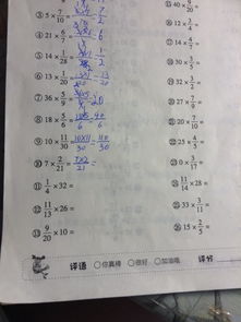 關(guān)于贊美小麥的作文開(kāi)頭