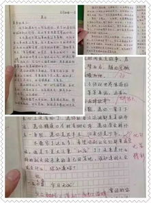 母親小傳作文600字初二開(kāi)頭