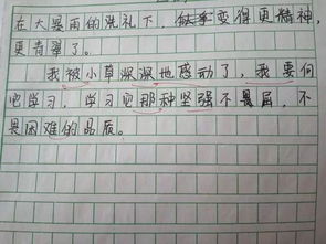 寫(xiě)團結的作文開(kāi)頭結尾