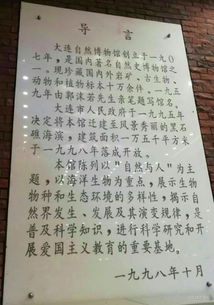 發(fā)現了大自然的奧秘作文,我發(fā)現了大自然的奧秘作文300字,大自然的奧秘三年級作文