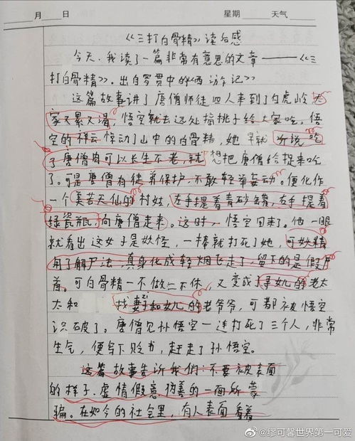 壯族介紹作文開(kāi)頭