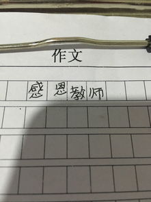 感恩老師寫(xiě)100個(gè)字以上作文開(kāi)頭結尾