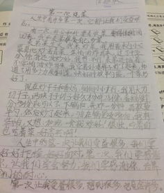 誤會(huì )450字作文開(kāi)頭