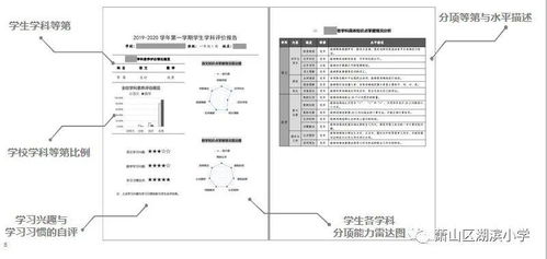 自我分析形成報告(自我評價(jià)的形成分析)