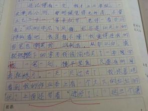 難忘那一次作文開頭