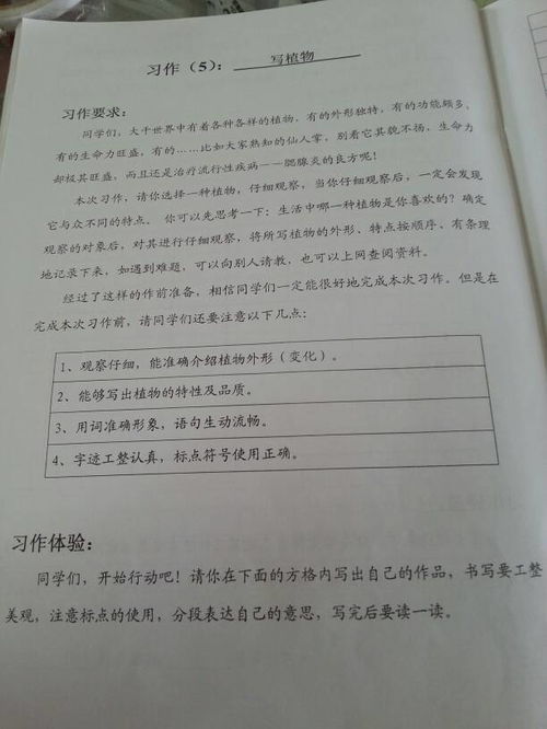 我喜歡的一種植物三級作文開(kāi)頭結尾