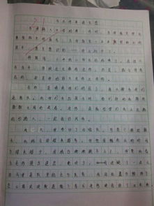 以讓自己美好為題作文600字作文開(kāi)頭結尾