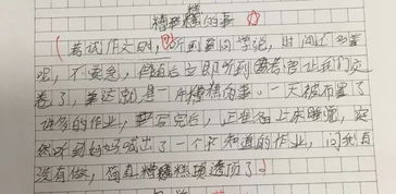 作文,點(diǎn)亮,開(kāi)頭,人生