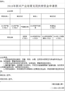 向集團的資金申請報告(向集團的資金申請報告范文)