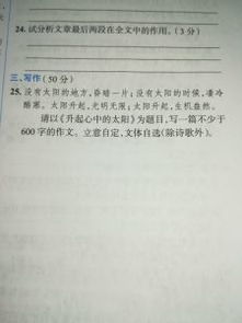 我心中的太陽(yáng)記敘文600字作文開(kāi)頭