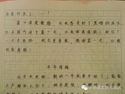 難忘的事優(yōu)秀的作文開(kāi)頭
