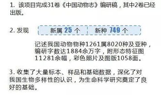 項目結題工作報告(課題研究結題工作報告)