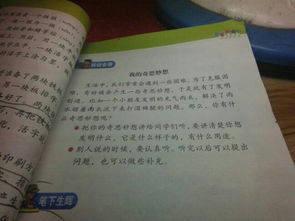 以奇思妙想為主題的作文開(kāi)頭