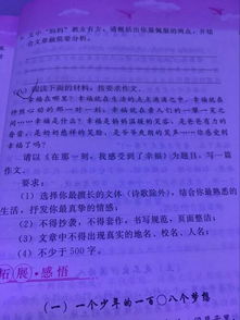 感謝失敗作文500字開頭用名言