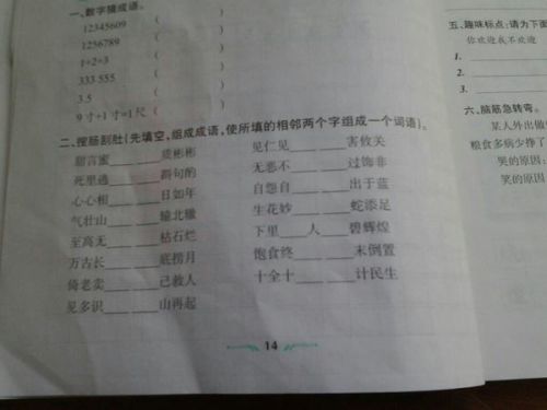 我很敬佩她他作文開頭