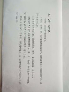 六級啟示600字作文開頭