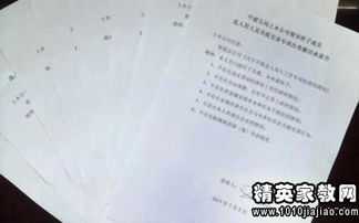 稅務(wù)自查報告范文(稅務(wù)自查報告怎么寫(xiě))