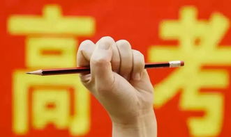  新高考改革何去何從(村治改革，組長(cháng)何去何從)
