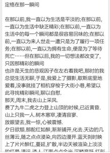 時(shí)間在那一刻定格作文600字作文開(kāi)頭結尾
