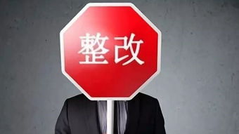 水泥企業(yè)自查報告(水泥企業(yè)節能自查報告)