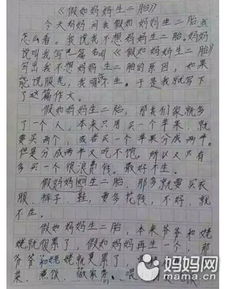作文生二胎開(kāi)頭怎么寫(xiě)