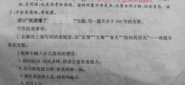 那次我讀懂了友愛(ài)作文開(kāi)頭