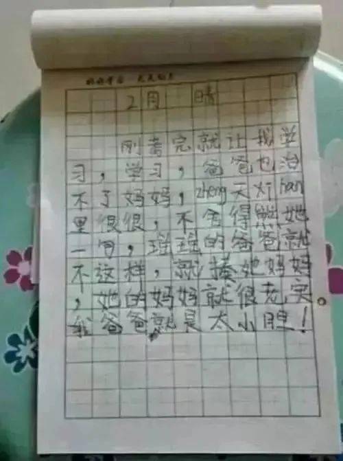 當爸媽不在家的時(shí)候作文500字,爸媽不在家作文300字,爸媽不在家的時(shí)候作文